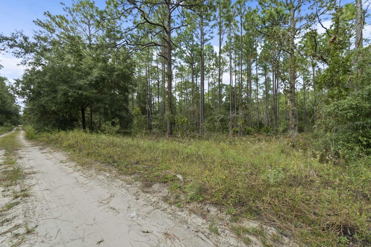 Image 4 of 9 For Lot #32 30th Street