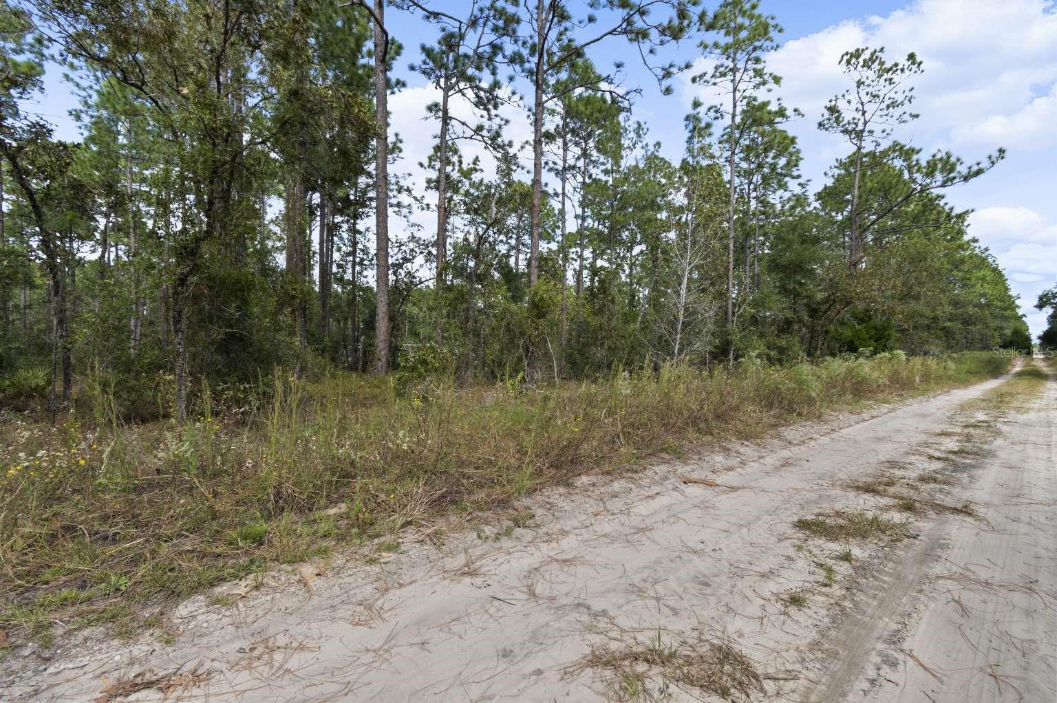 Image 9 of 9 For Lot #32 30th Street