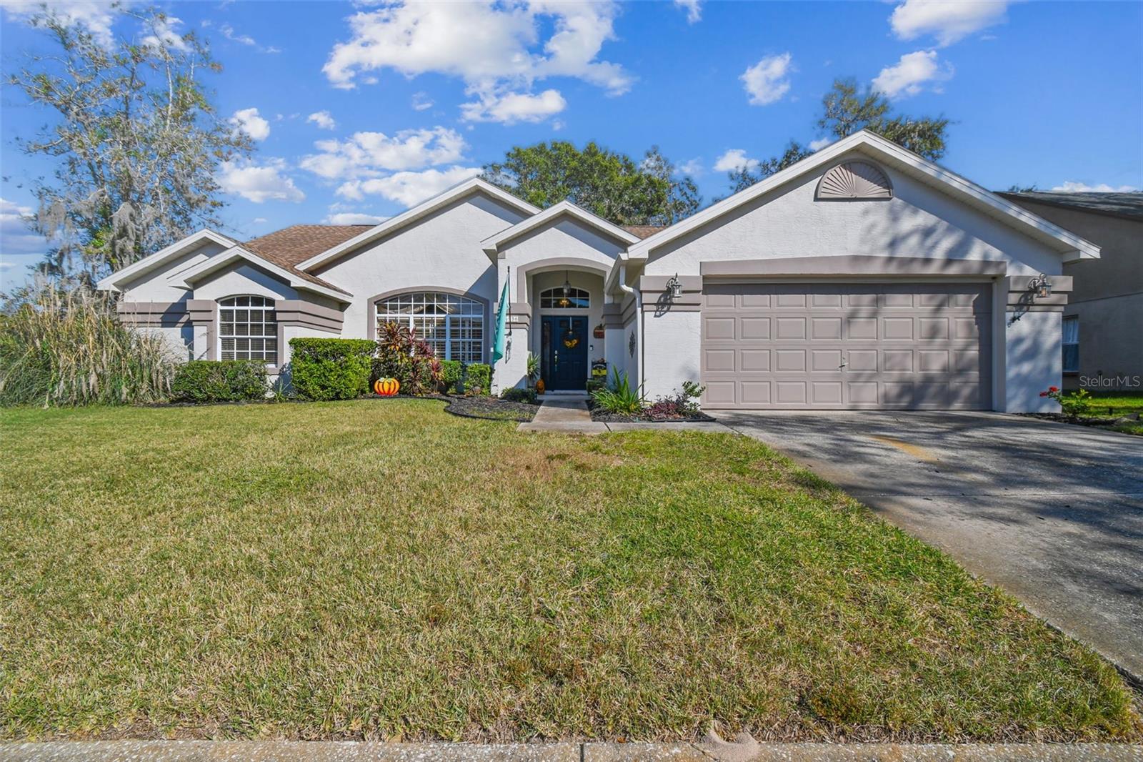 Details for 4936 Musselshell Drive, NEW PORT RICHEY, FL 34655