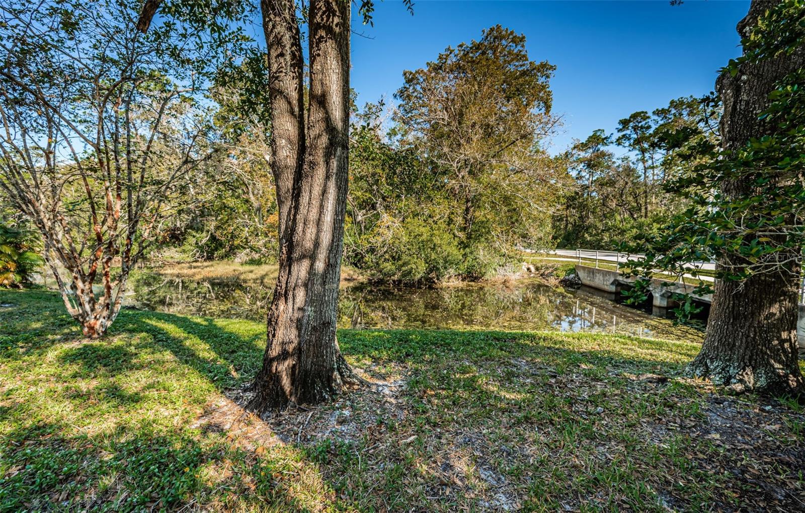 Image 47 of 71 For 4399 Brooker Creek Drive