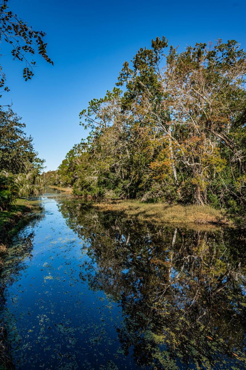 Image 49 of 71 For 4399 Brooker Creek Drive