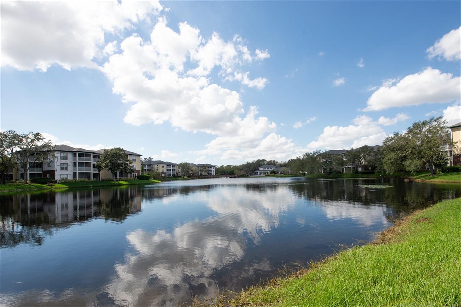 Details for 10122 Winsford Oak Boulevard 403, TAMPA, FL 33624