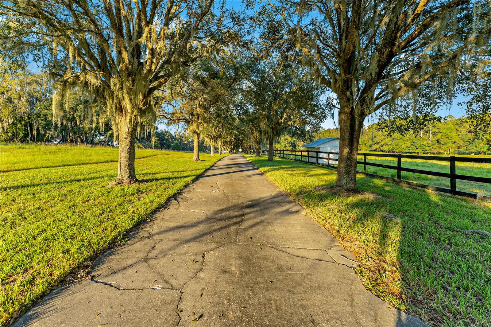 Image 98 of 99 For 6039 Lake Meadows Drive