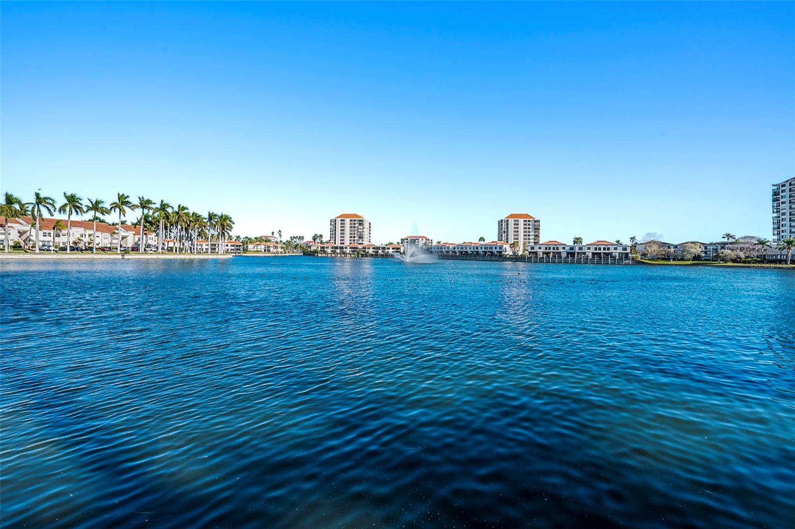 Image 38 of 44 For 6061 Bahia Del Mar Circle 241