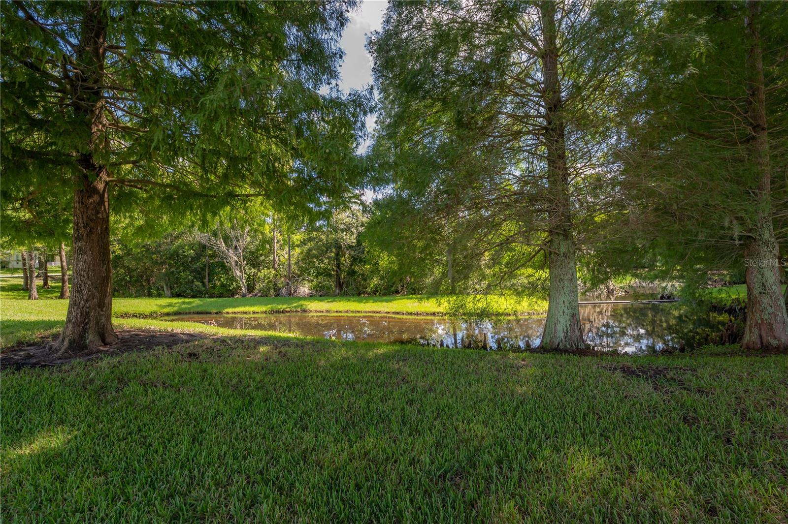 Image 68 of 97 For 10805 Laurel Glen Place