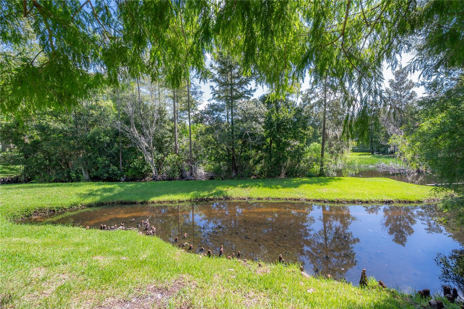 Image 69 of 97 For 10805 Laurel Glen Place