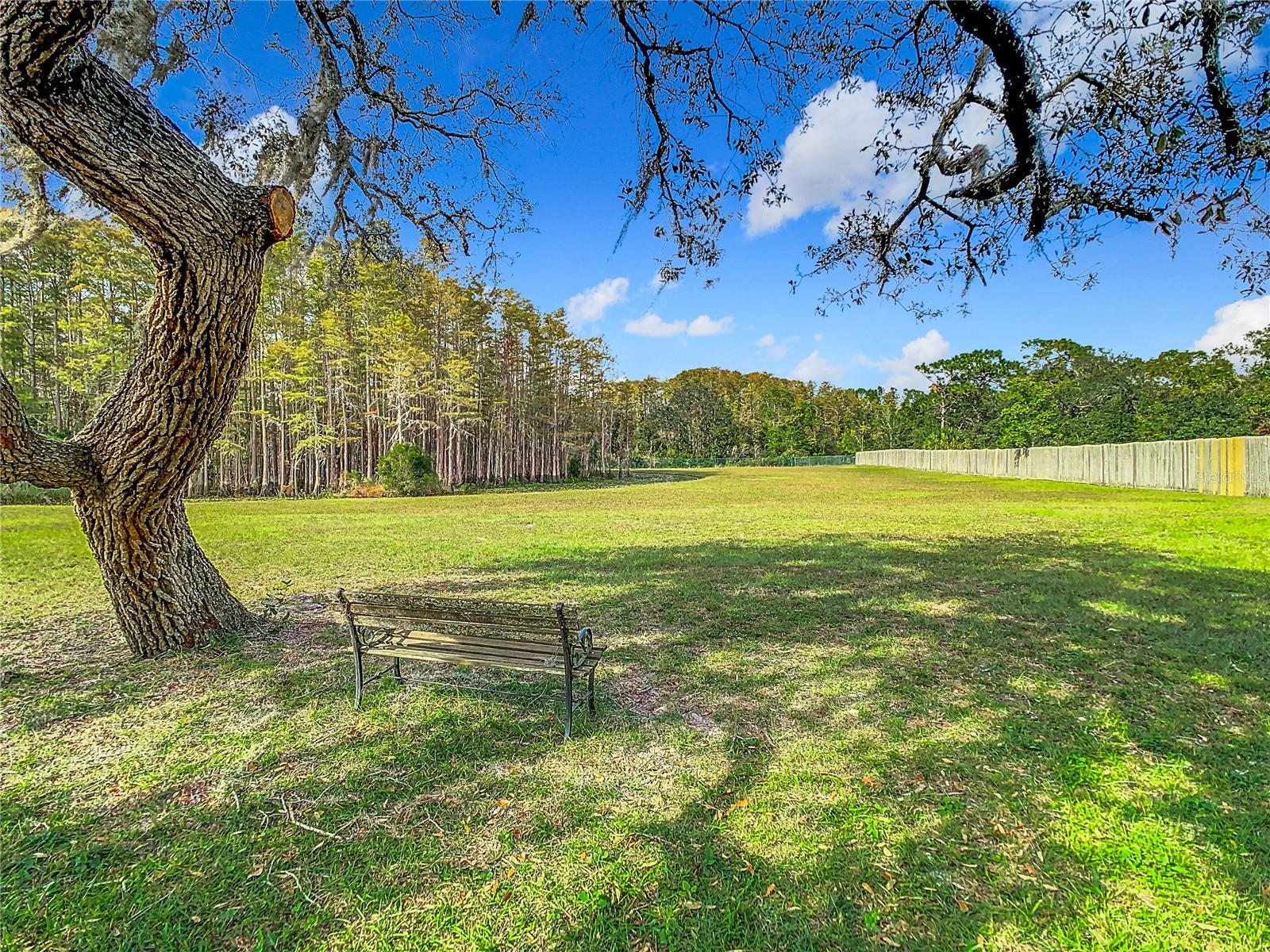 Image 82 of 94 For 10717 Filly Lane