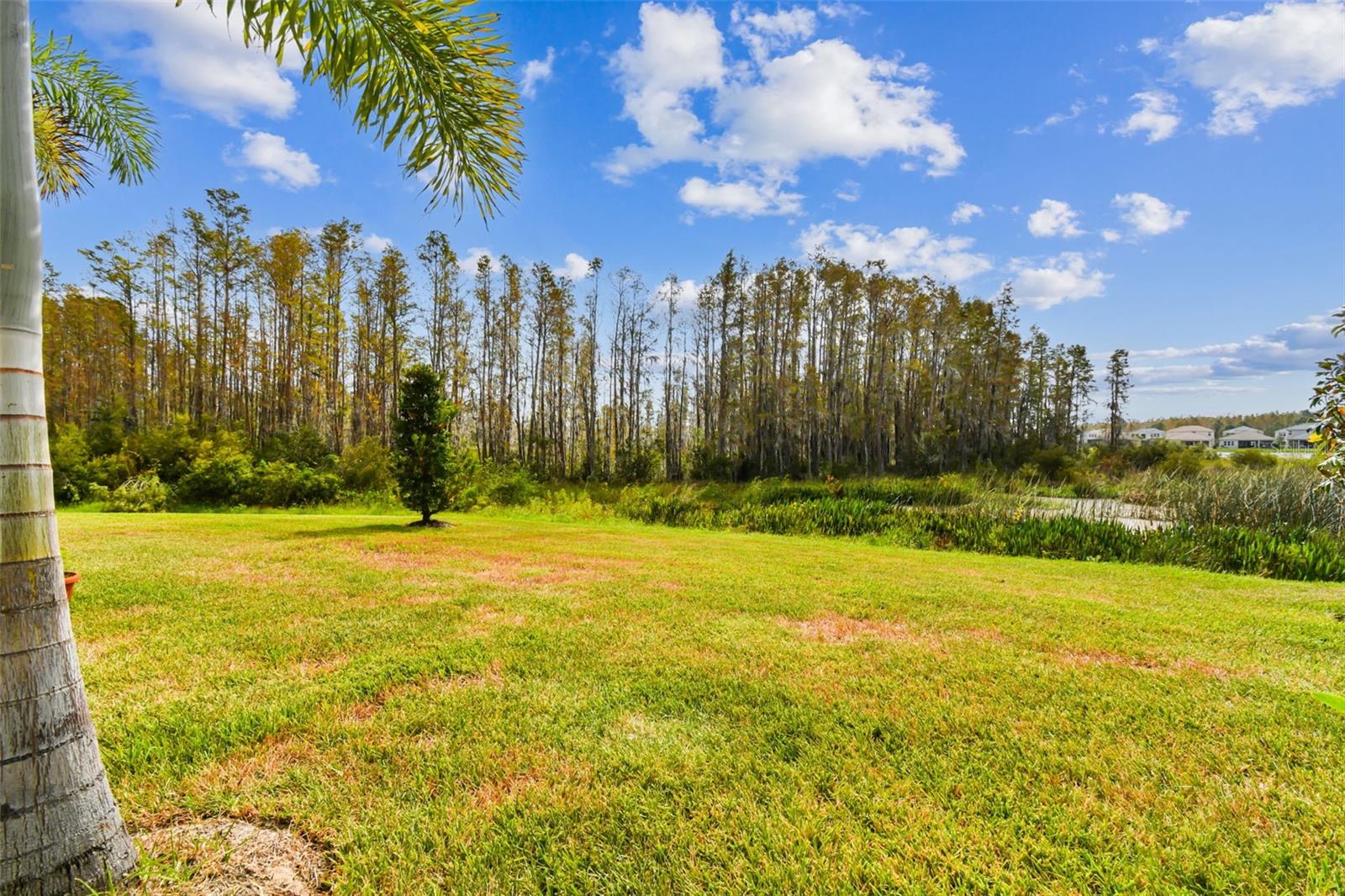 Image 50 of 68 For 32176 Rosewood Meadow Lane