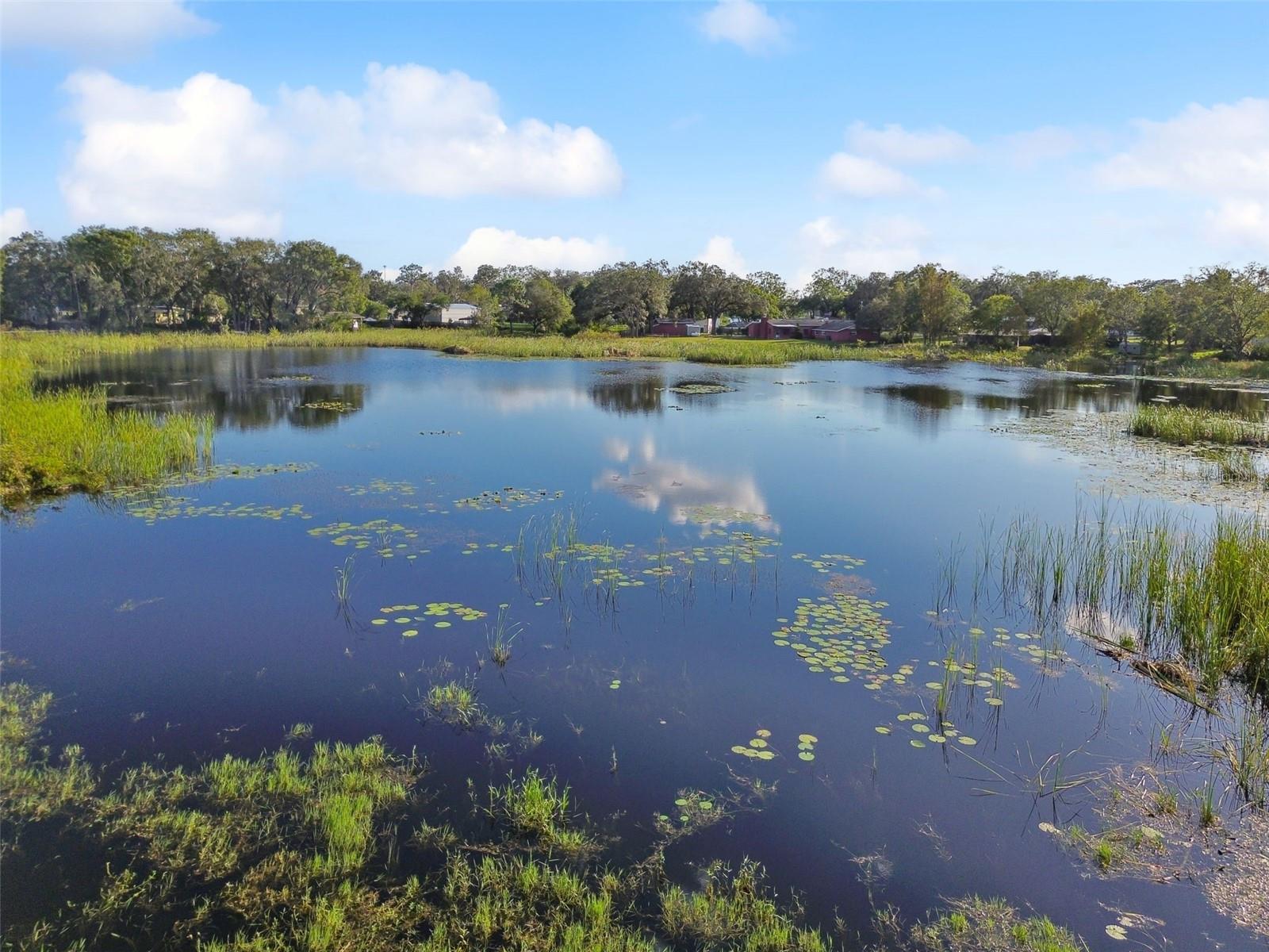 Image 60 of 68 For 16122 Lake Burrell Drive