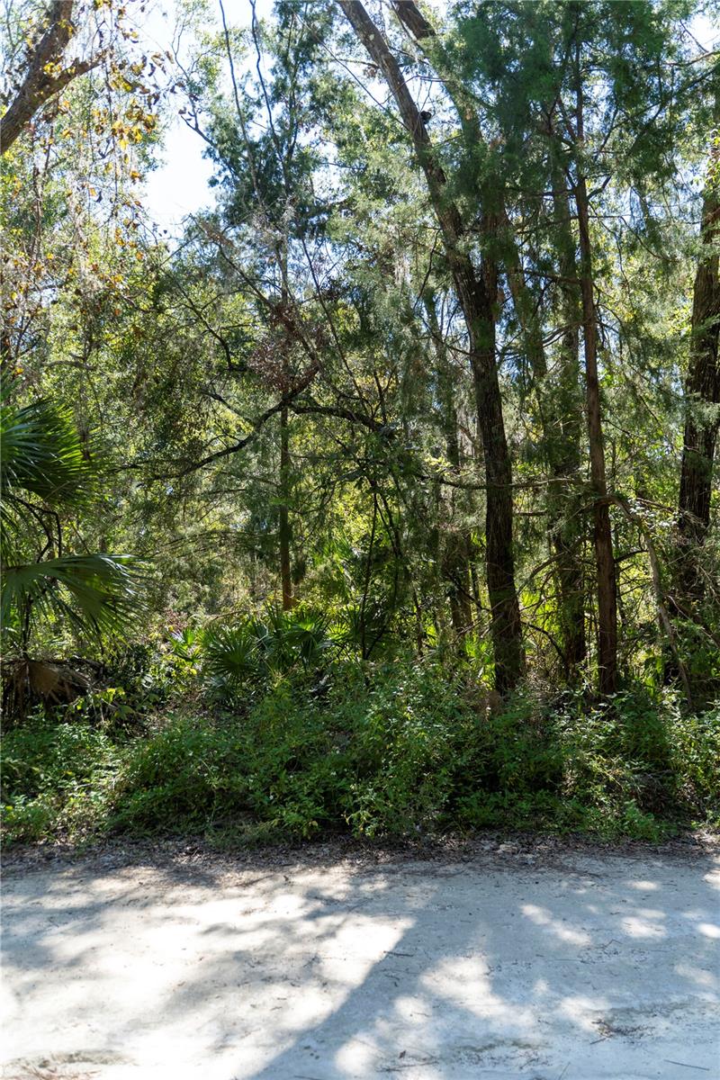 Image 5 of 9 For Ne 358th Ave