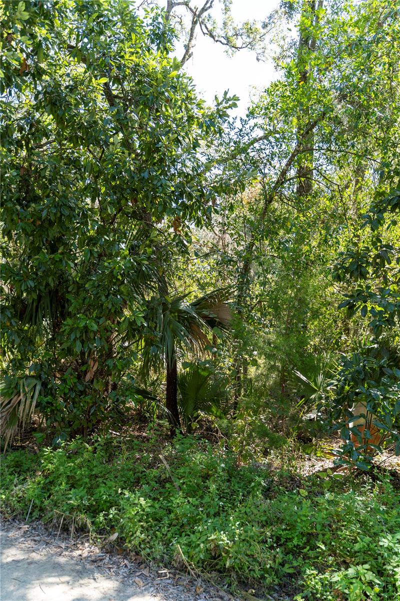 Image 6 of 9 For Ne 358th Ave