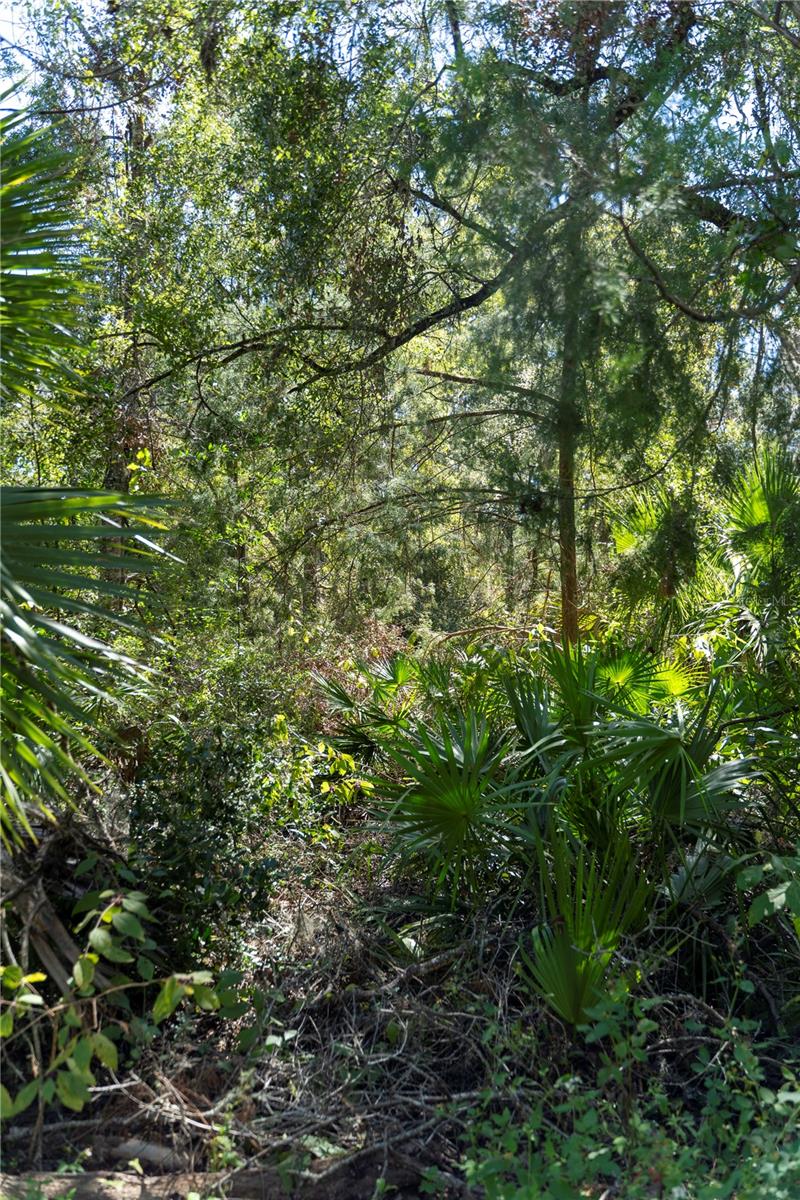Image 7 of 9 For Ne 358th Ave
