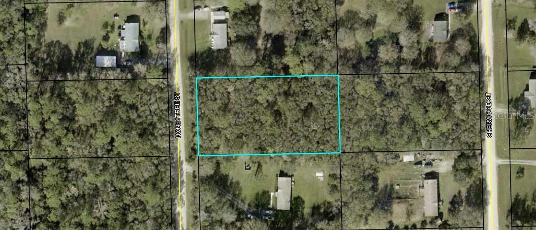 Listing Details for 1167 Honeytree Street, BUNNELL, FL 32110