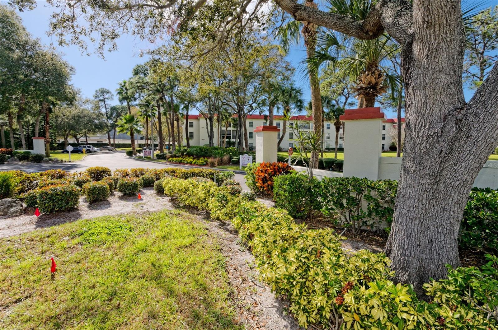 Image 40 of 93 For 2700 Bayshore Boulevard 9104