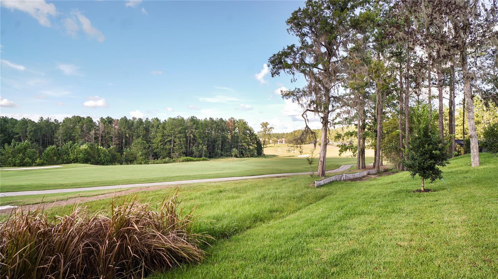 Listing photo id 6 for 4555 Hickory Oak Drive
