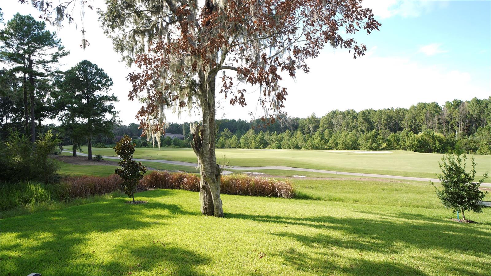Listing photo id 7 for 4555 Hickory Oak Drive