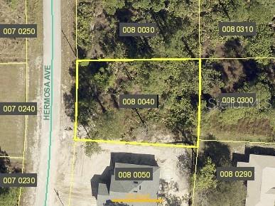 Listing Details for 311 Hermosa Avenue, LEHIGH ACRES, FL 33974