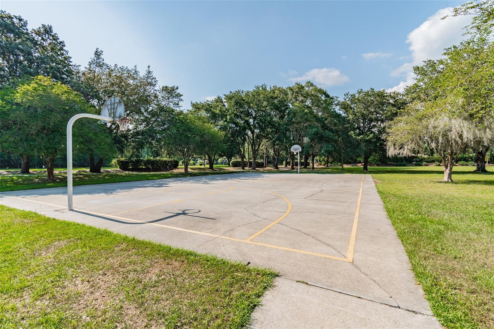 Listing photo id 44 for 19606 Morden Blush Drive