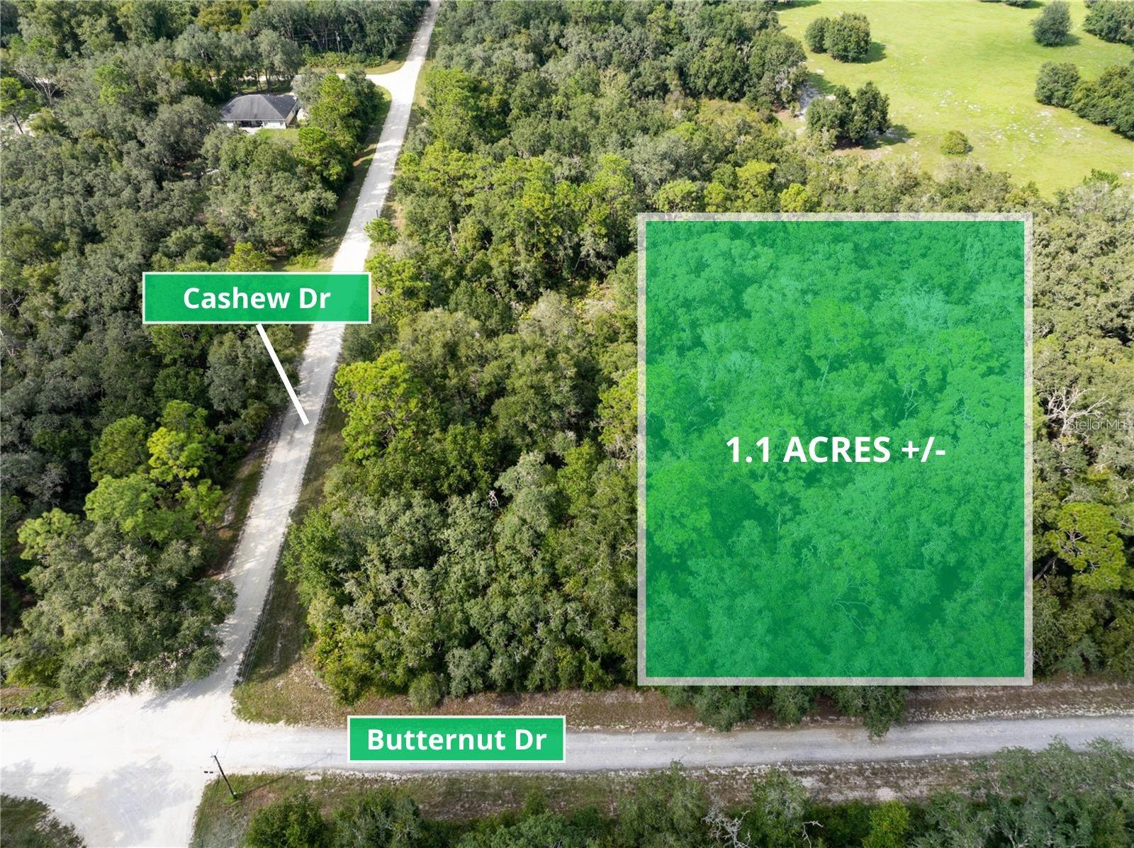 Details for Butternut Drive, WEBSTER, FL 33597