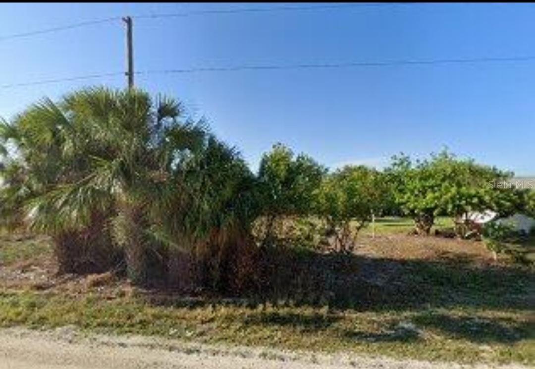 Listing Details for W Fondulac Rd, AVON PARK, FL 33825