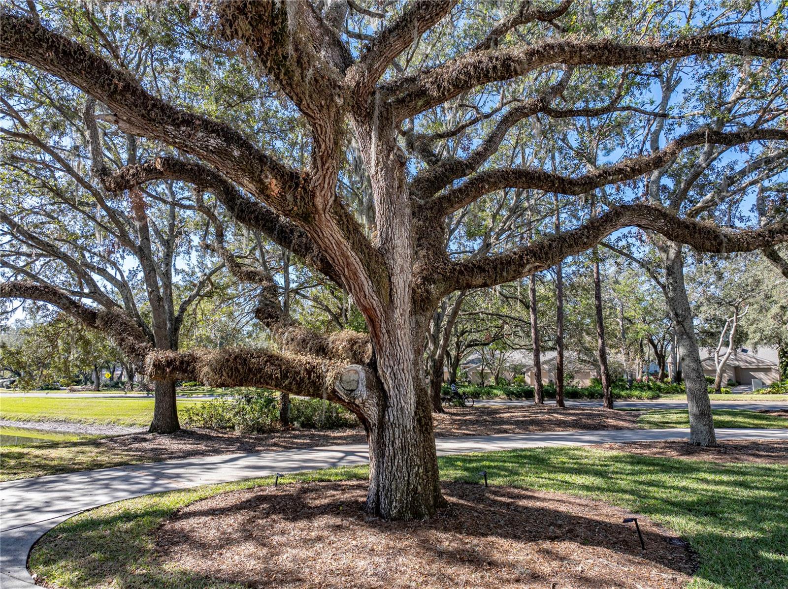 Image 63 of 83 For 5212 Golf Links Boulevard