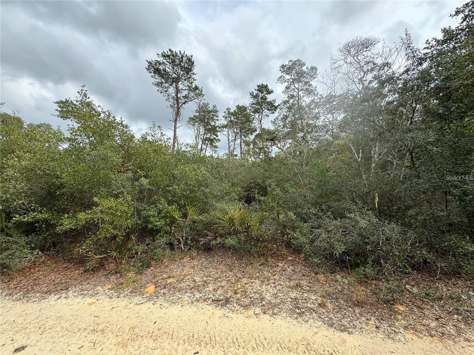 Details for Tbd 155th Court, FORT MC COY, FL 32134