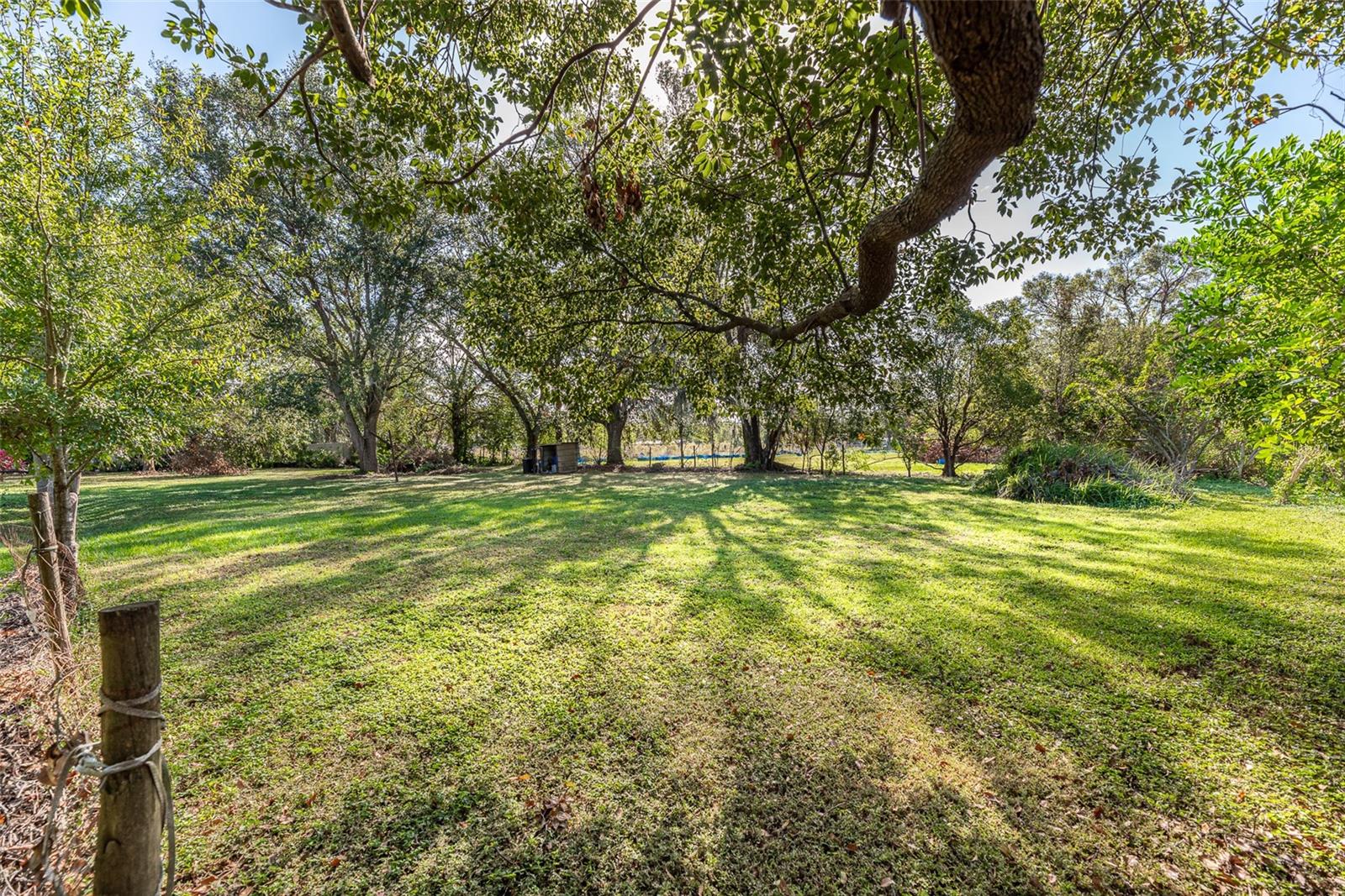 Image 8 of 43 For 4815 Charleston Avenue