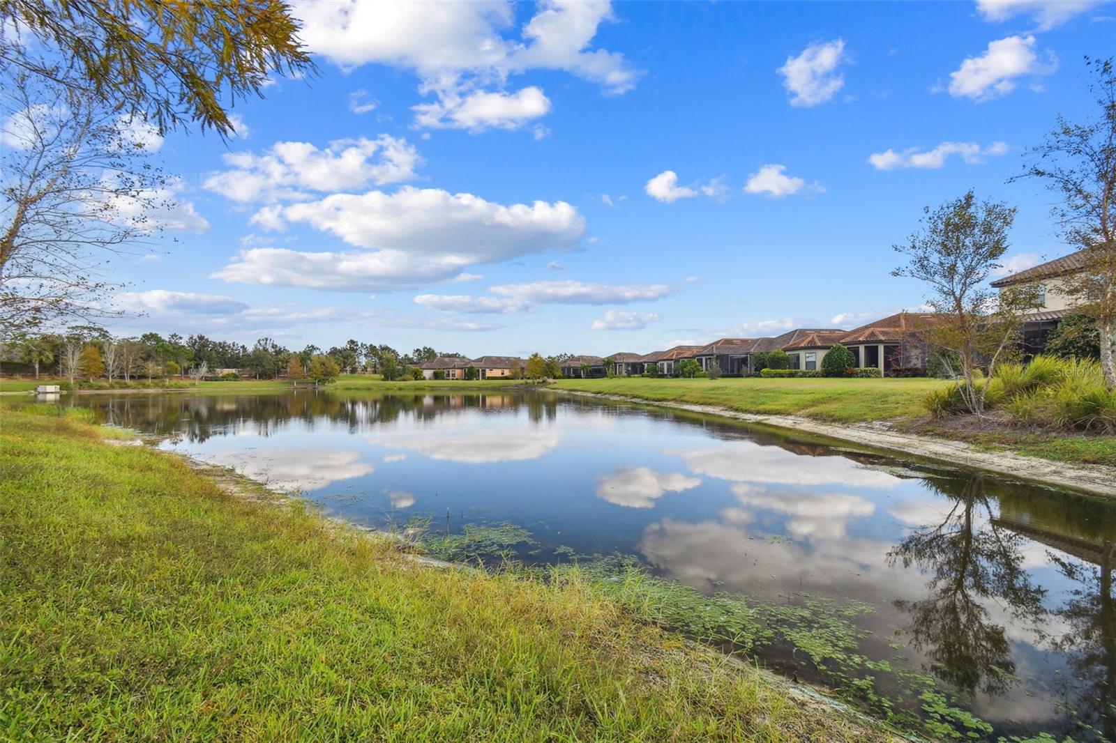 Image 67 of 95 For 11700 Callisia Drive