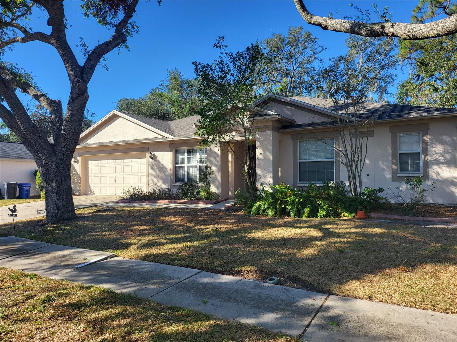 Details for 10452 Ashley Oaks Drive, RIVERVIEW, FL 33578