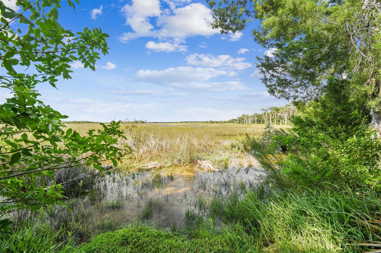 Image 69 of 77 For 4021 Eagle Nest Drive