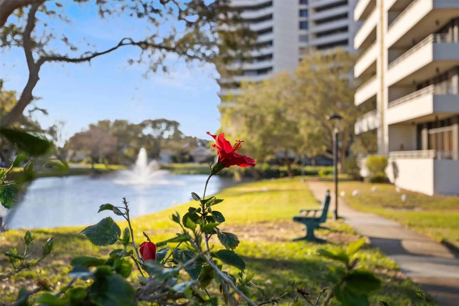 Image 86 of 95 For 5950 Pelican Bay Plaza S 302