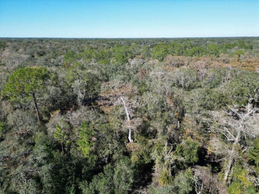 Image 30 of 36 For 39716 Tworut Road