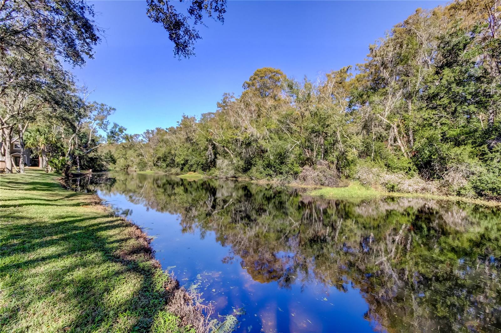 Image 91 of 100 For 4331 Brooker Creek Drive