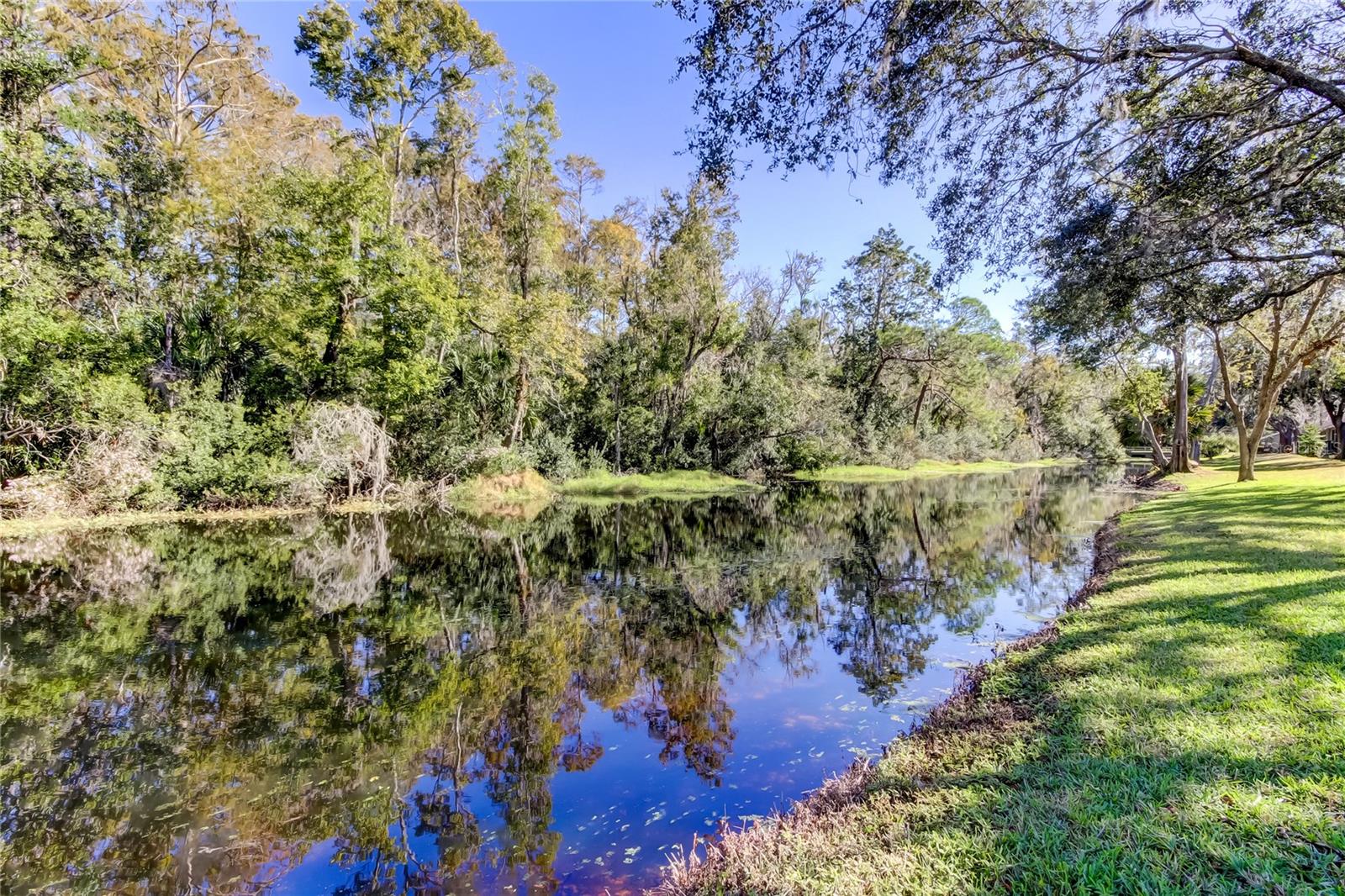 Image 92 of 100 For 4331 Brooker Creek Drive