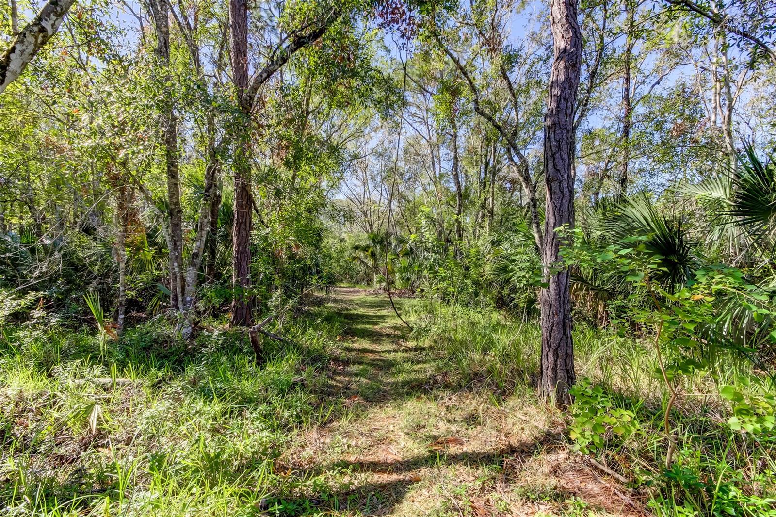 Image 95 of 100 For 4331 Brooker Creek Drive