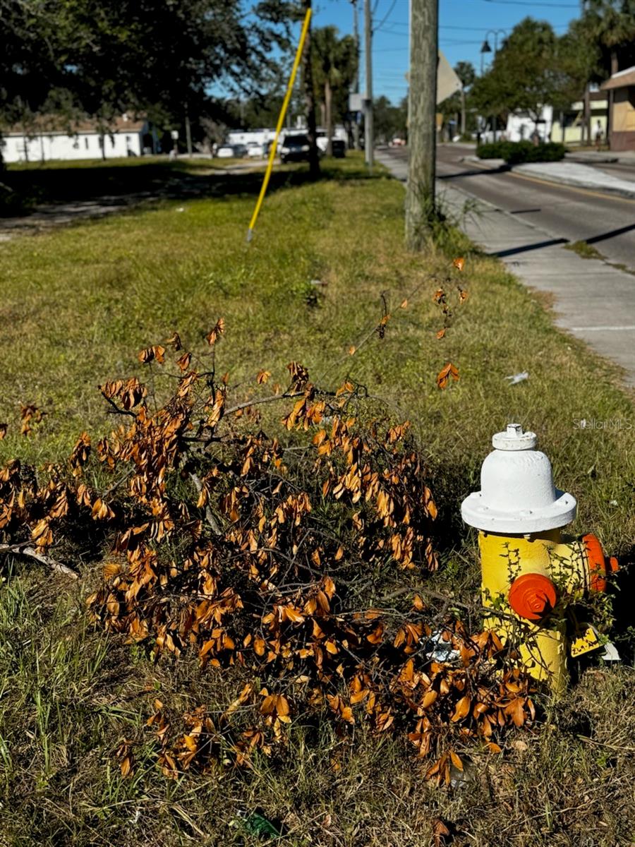 Image 12 of 17 For Martin Luther King Jr Avenue