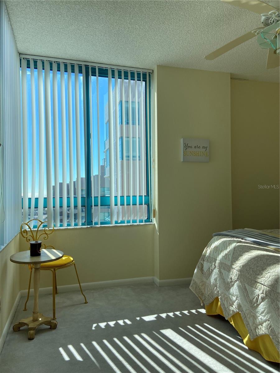 Listing photo id 29 for 1540 Gulf Boulevard 2107