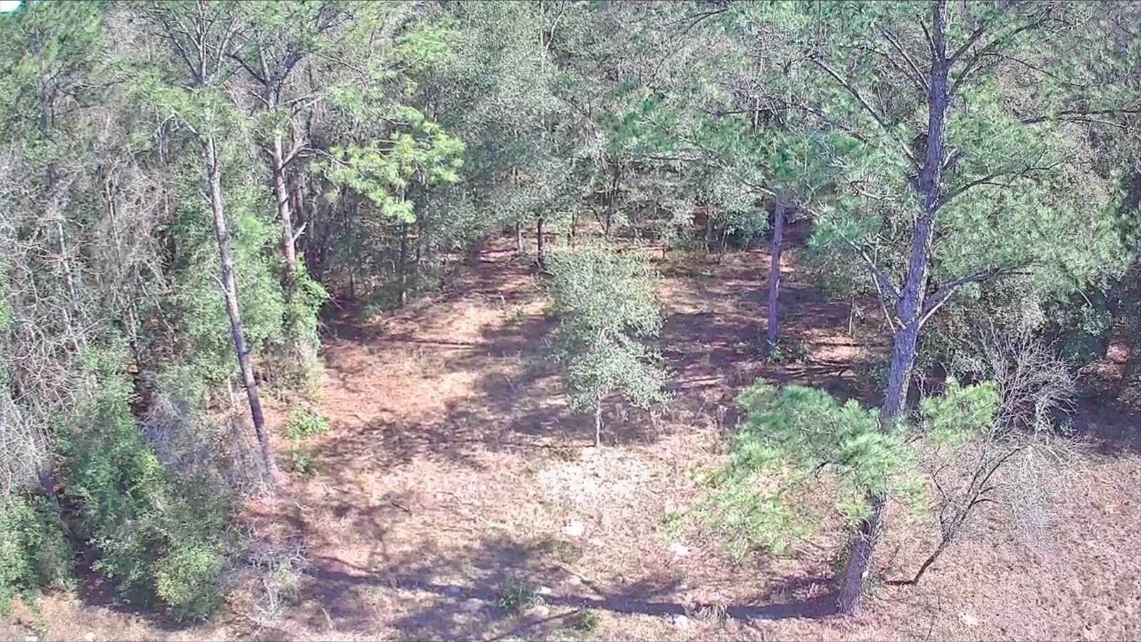 Image 6 of 7 For 9155 Alameda Drive