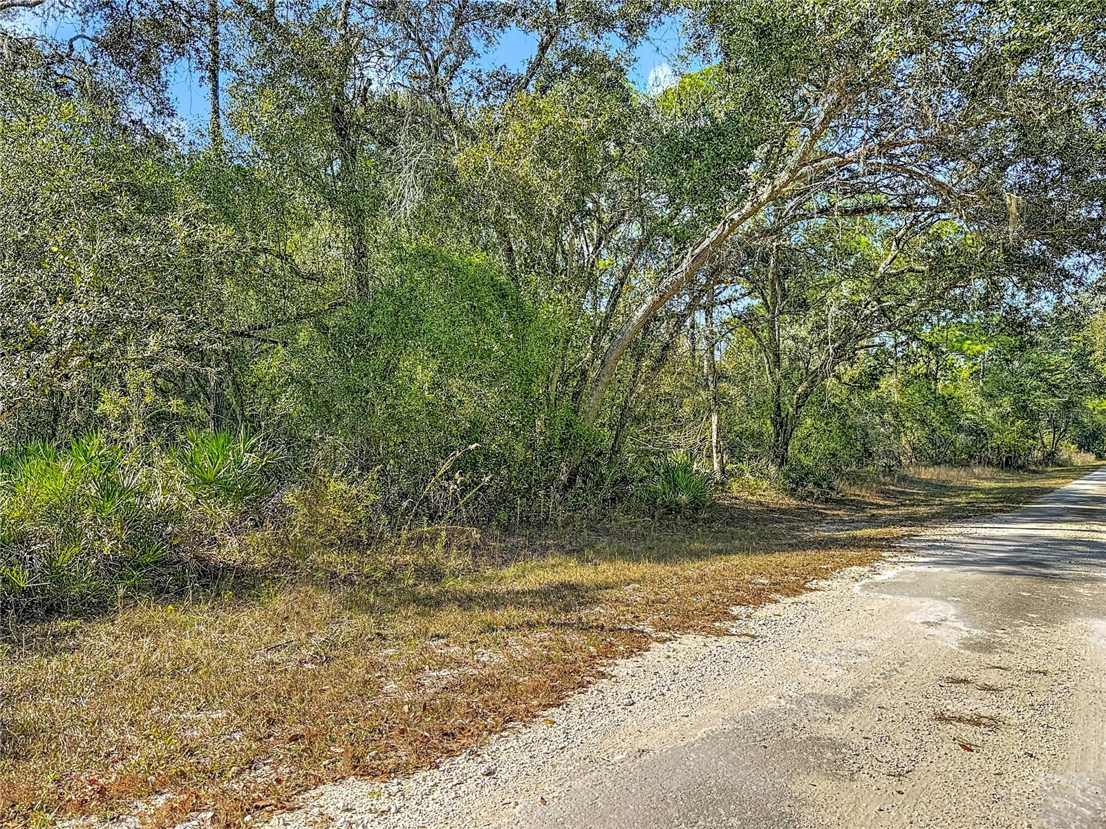 Image 13 of 23 For 7241 Sonia Avenue