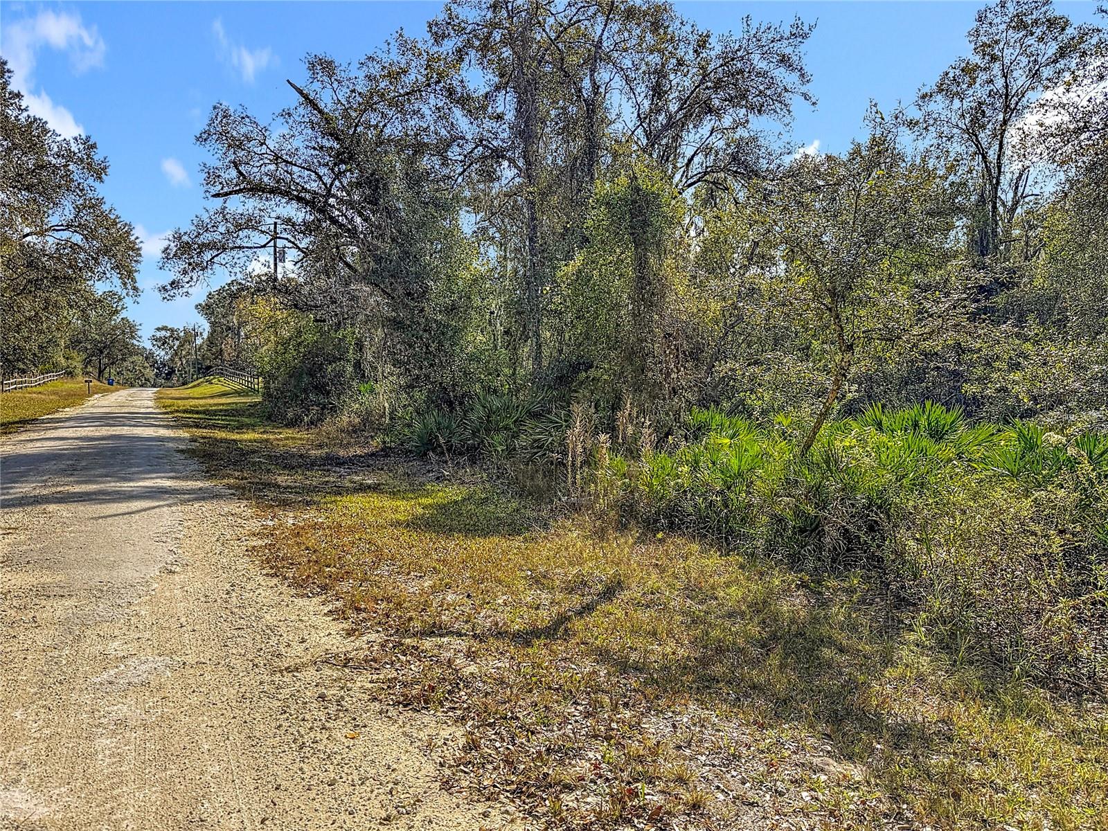 Image 14 of 23 For 7241 Sonia Avenue