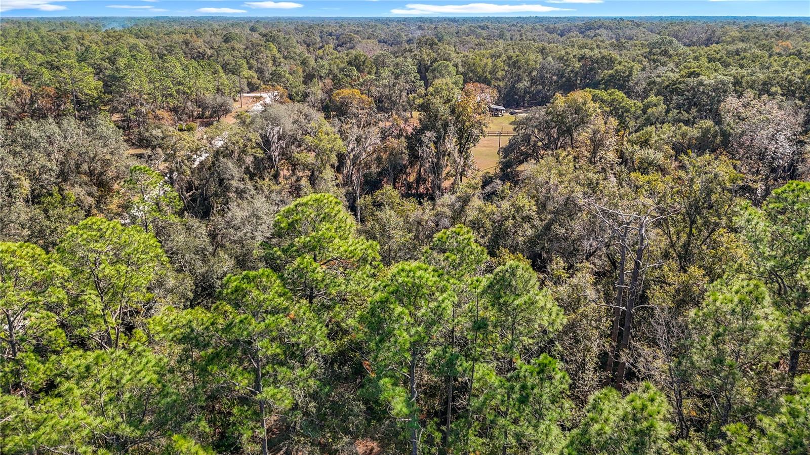 Image 15 of 23 For 7241 Sonia Avenue