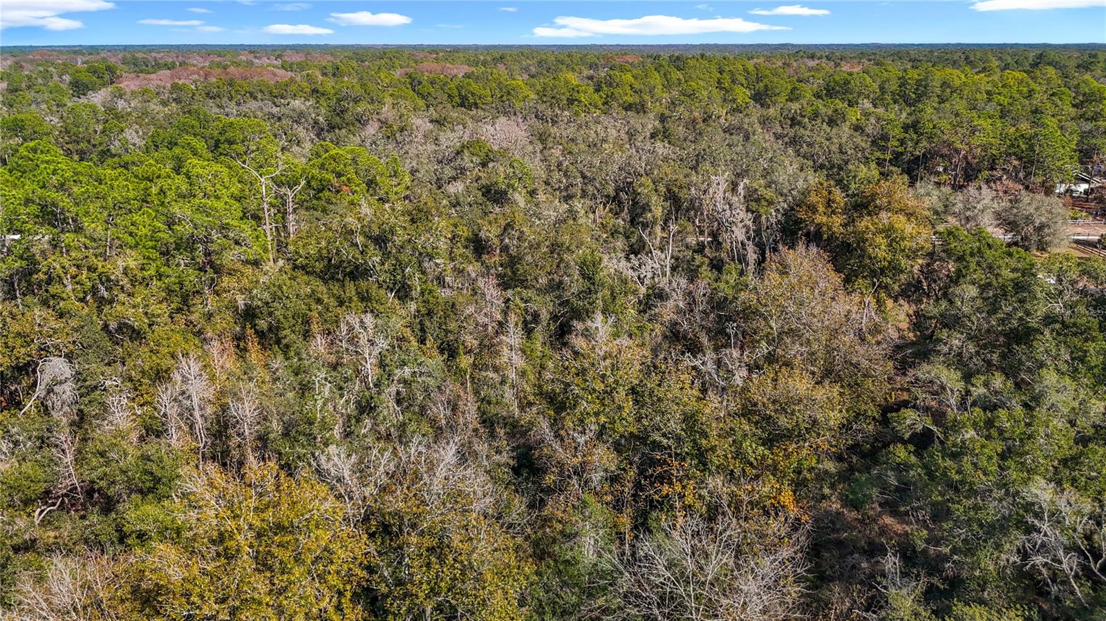 Image 17 of 23 For 7241 Sonia Avenue