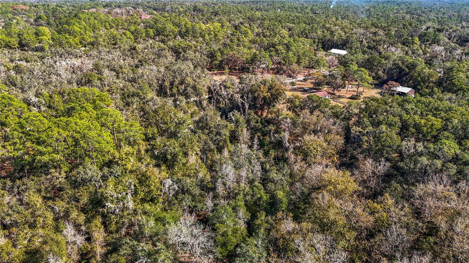 Image 18 of 23 For 7241 Sonia Avenue