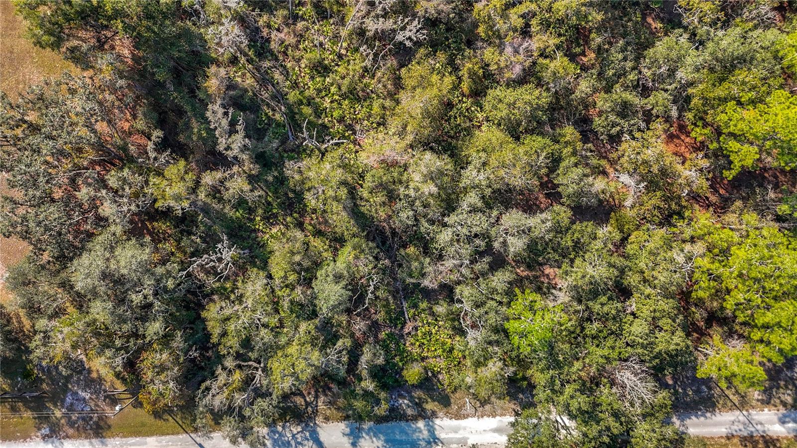 Image 19 of 23 For 7241 Sonia Avenue