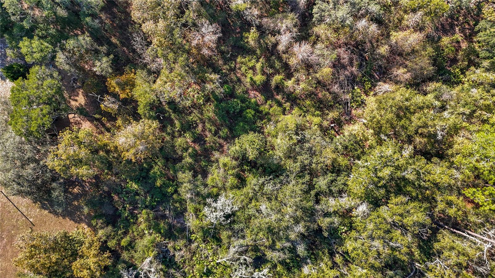 Image 20 of 23 For 7241 Sonia Avenue