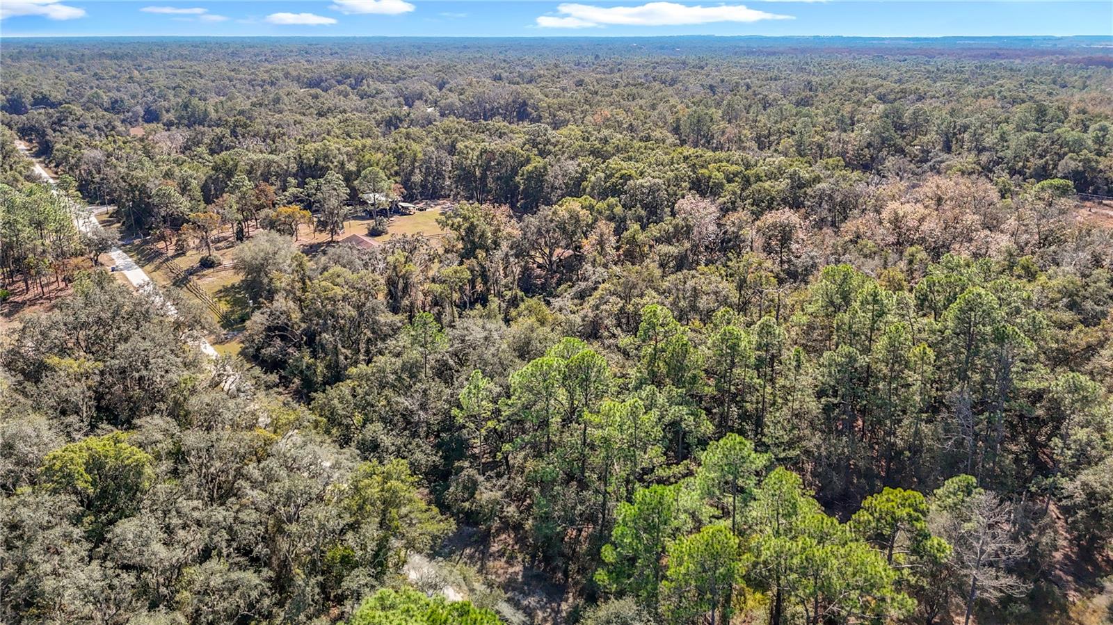 Image 6 of 23 For 7241 Sonia Avenue