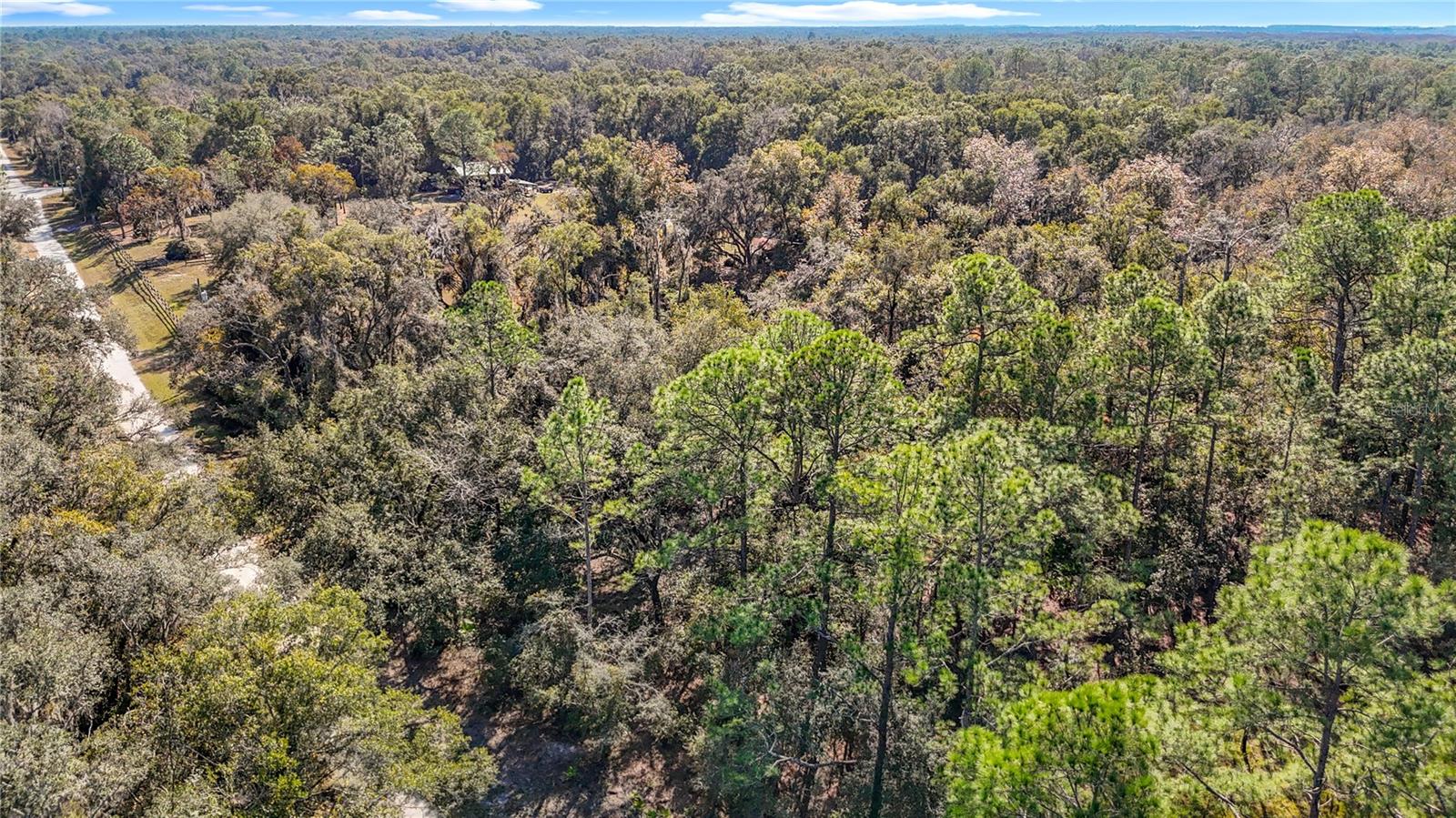 Image 7 of 23 For 7241 Sonia Avenue