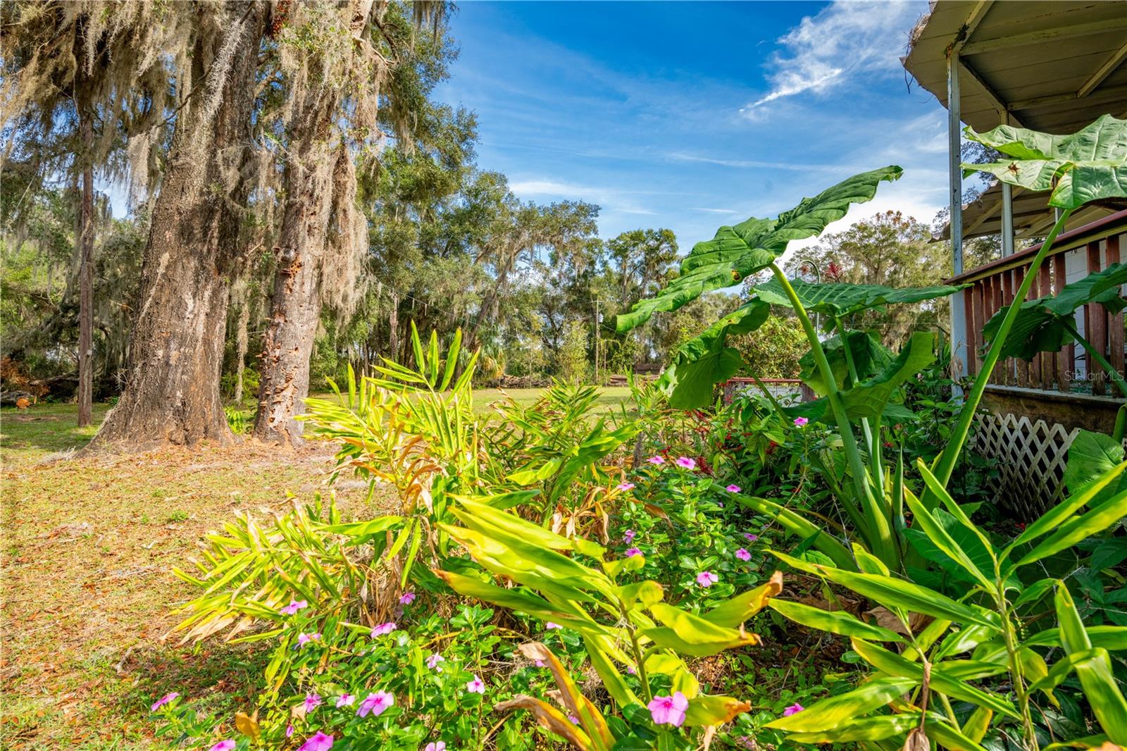 Image 9 of 29 For 7313 Clayton Road