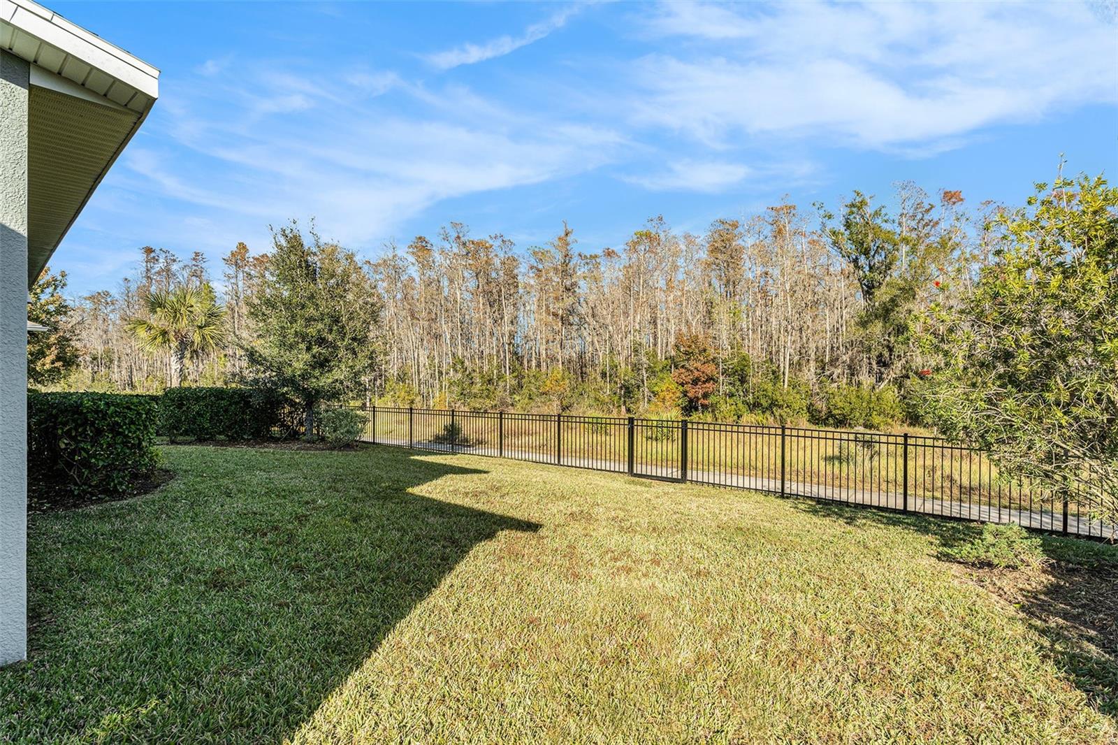 Listing photo id 35 for 3121 Satilla Loop