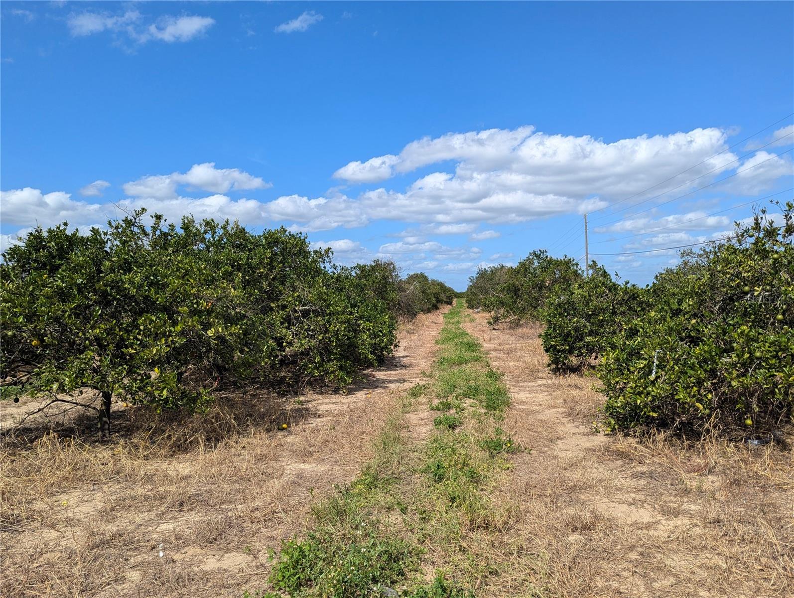 Image 4 of 7 For 2750 Arbuckle Creek Road